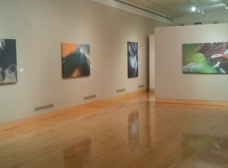 Gallery Image Number 5