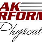 Peak Performance Physical Therapy- Lansing