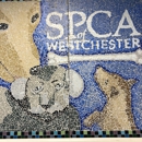 Spca-Westchester & Simpson - Animal Shelters