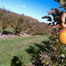 Lynd Fruit Farm - Orchards