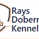 Rays Dobermans Kennels - Pet Breeders