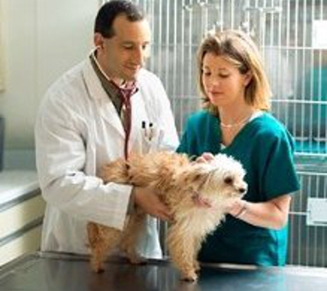 Sayrebrook Veterinary Hospital PA - Sayreville, NJ