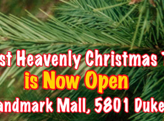 Almost Heavenly Christmas Trees LLC - Alexandria, VA