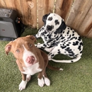 Pampered Pets Bed & Biscuit