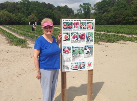 Oakleys Farm Market - Hebron, MD