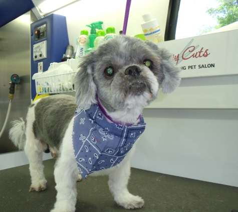 Puppy Cuts Mobile Grooming LLC - Somers Point, NJ