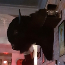 Alley Cat - Restaurants