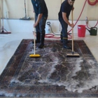 Alexandria Green Carpet & Rug Cleaning