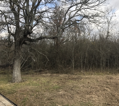 Brush Whackers LLC Land Clearing Forestry Mulching - Brashear, TX