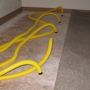 Action Carpet Cleaning