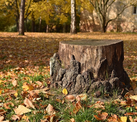 Half Price Stump Grinding - Derby, NY