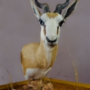 Styx River Taxidermy - Taxidermists