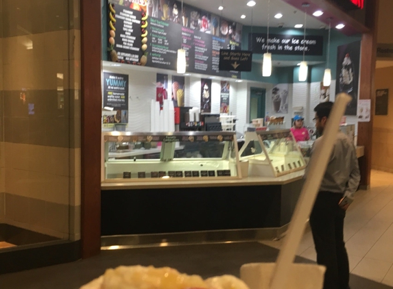 The Marble Slab Creamery - Austin, TX