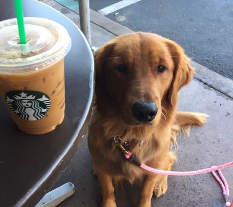 Starbucks Coffee - Santa Clara, CA