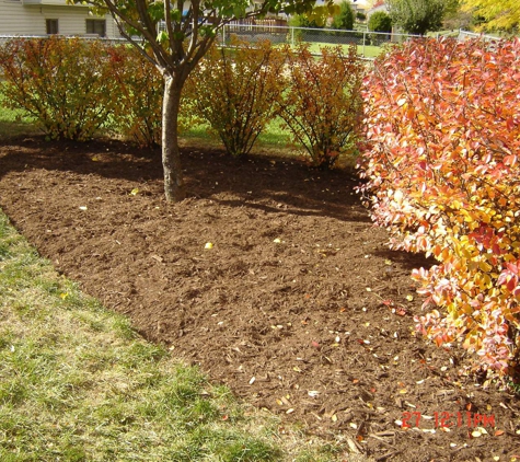 Champion Landscape Supplies - Houston, TX. mulch in yard