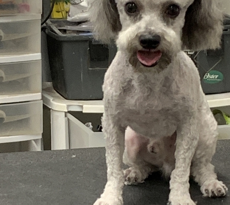 Sellers Pet Grooming - Pensacola, FL. After