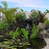 Maui Lawn And Landscape LLC gallery