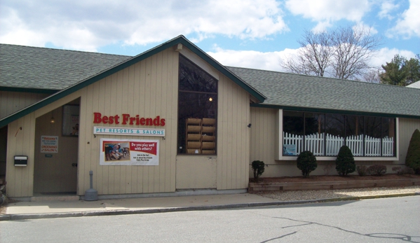 Best Friends Pet Care - Wakefield, MA