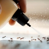 Bugging Out Termite & Pest Control gallery