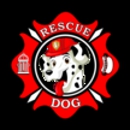 Rescue Dog of Flathead Valley - American Restaurants