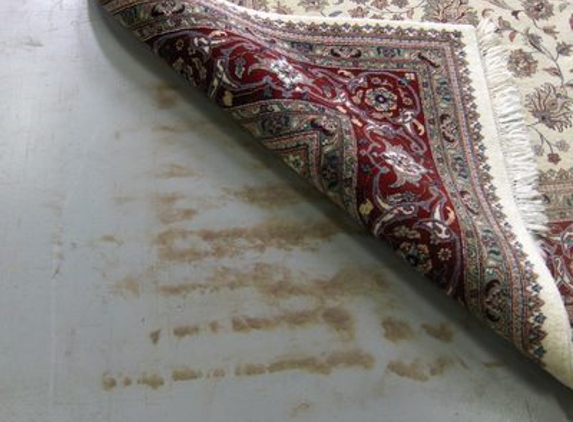 Capital Rug Cleaning - Rockville, MD