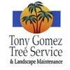Tony Gomez Tree Service & Landscape Maintenance INC. gallery
