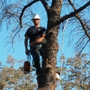 Delbert Johnson Tree & Stump Removal, Inc - Stump Removal & Grinding