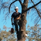 Delbert Johnson Tree & Stump Removal, Inc