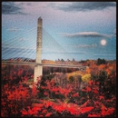 Penobscot Narrows Bridge & Observatory & Fort Knox - Maine - Historical Places