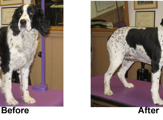 Dapper Dog Pet Grooming - Brookfield, WI