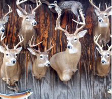 T & T Taxidermy - Sandyville, WV