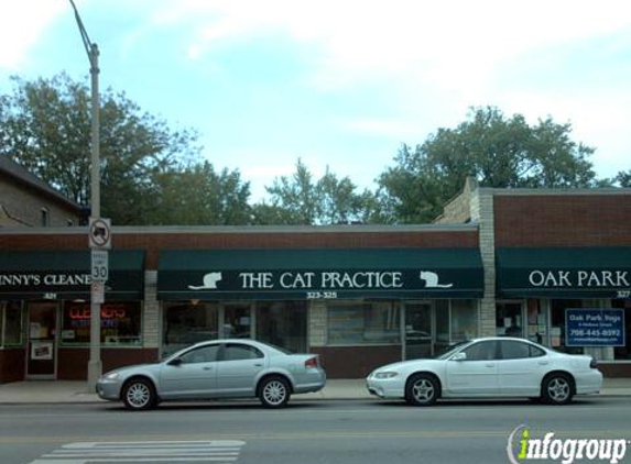 The Cat Practice - Oak Park, IL