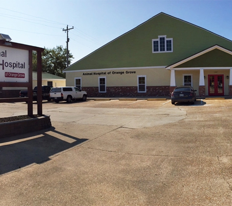 Animal Hospital Of Orange Grove - Gulfport, MS