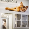 PetSmart Charities Everyday Adoption Center by spcaLA gallery