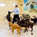 K9 Resorts Luxury Pet Hotel Scotch Plains - Fanwood (Original Location) - Pet Boarding & Kennels