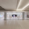 Apple Walden Galleria gallery