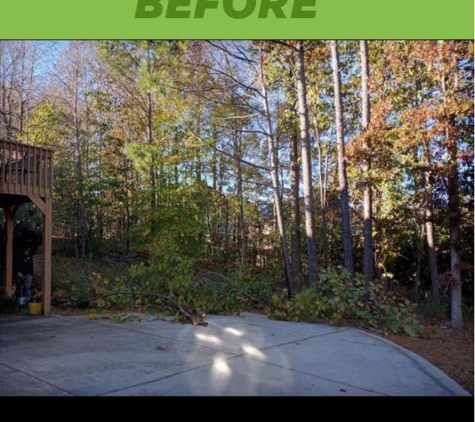 Meridian Tree Service Atl - Kennesaw, GA