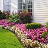 Natural Wonders Lawn & Landscape Care llc. gallery