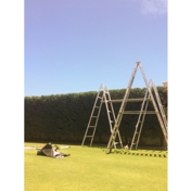 Gallery Image Number 5