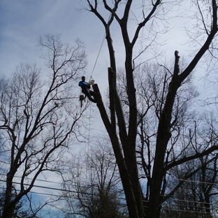 Ash pro tree service - Lexington, KY