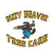 Busy Beaver Tree Care