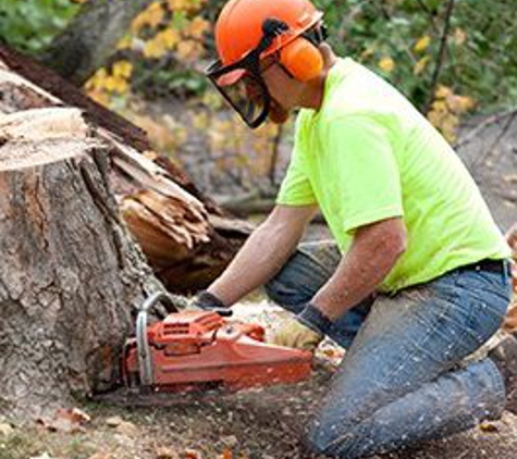 Rod's Tree Service - Carmichael, CA