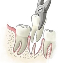 Harmony Dental