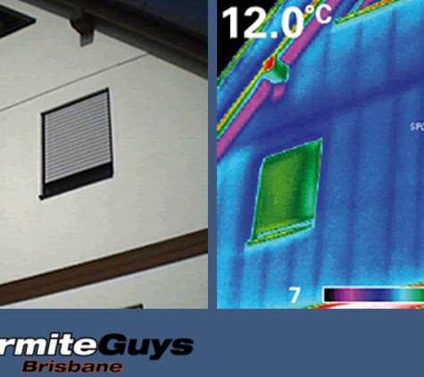 Termite Guys Brisbane. Pest Control for Your Home or Business