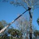 Specialty Tree Care And Landscaping LLC