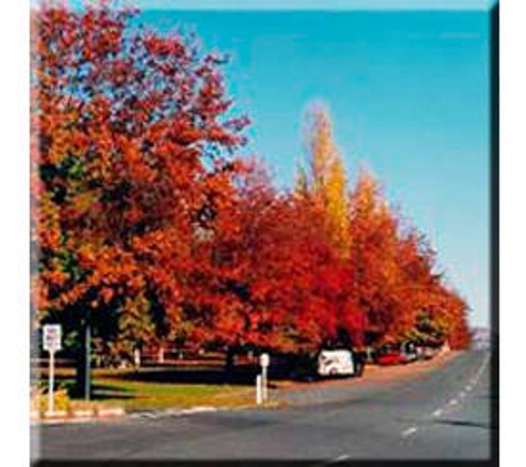 Bolga Court Hostel - Tallangatta, VIC