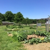 Stratford Ecological Center gallery