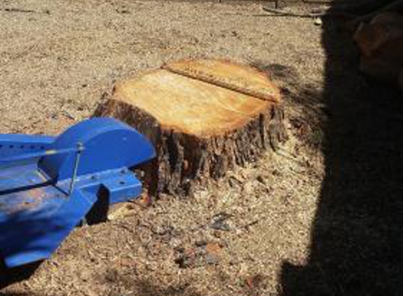 TDR Tree Services - Mesa, AZ. Removing a stump after taking down a tree here in Mesa