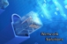 Network Solutions - Computer Network Design & Systems
