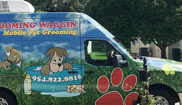 Tracy's Grooming Waggin - Pompano Beach, FL